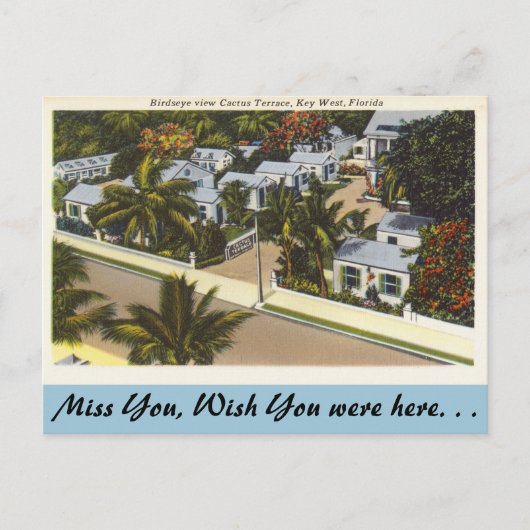 Florida, Key West, Cactus Terrace Postkarte (Vorderseite)