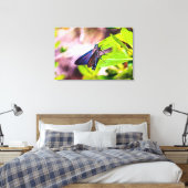 Florida Keys Bahia Honda Blue Butterfly Leinwanddruck (Insitu (Schlafzimmer))