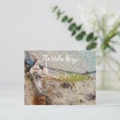 Florida Keys Bahia Honda Driftwood Shore Postkarte (Stehend Vorderseite)