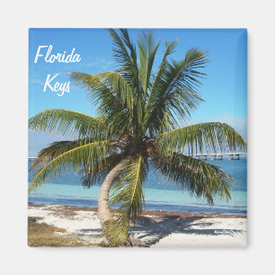 Florida Keys Bahia Honda Staat Park Palm Magnet