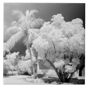 Florida Keys-Haus und seine Palmen, USA. 2 Fliese