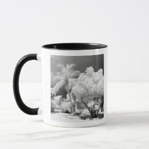Florida Keys-Haus und seine Palmen, USA. 2 Tasse