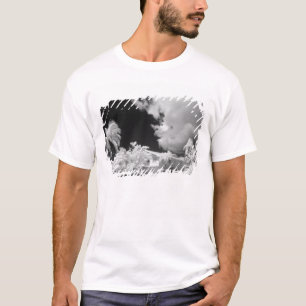 Florida Keys-Haus und seine Palmen, USA. T-Shirt