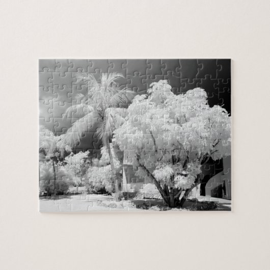 Florida Keys House und seine Palmen, USA.2 Puzzle (Horizontal)