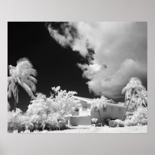 Florida Keys House und seine Palmen, USA. Poster