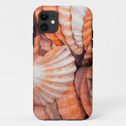 Florida Keys, Key West, Muscheln Case-Mate iPhone Hülle (Rückseite)