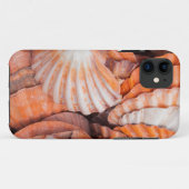 Florida Keys, Key West, Muscheln Case-Mate iPhone Hülle (Rückseite (Horizontal))