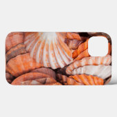 Florida Keys, Key West, Muscheln Case-Mate iPhone Hülle (Rückseite (Horizontal))