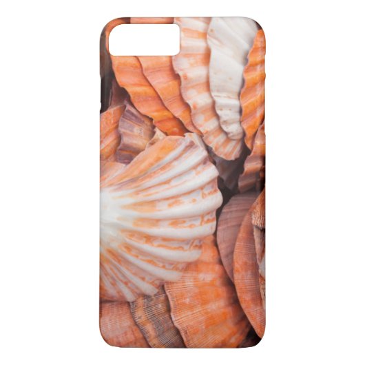 Florida Keys, Key West, Muscheln Case-Mate iPhone Hülle (Rückseite)