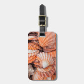 Florida Keys, Key West, Muscheln Gepäckanhänger (Vorderseite vertikal)