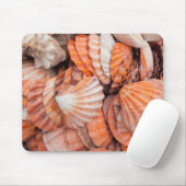 Florida Keys, Key West, Muscheln Mousepad (Mit Mouse)