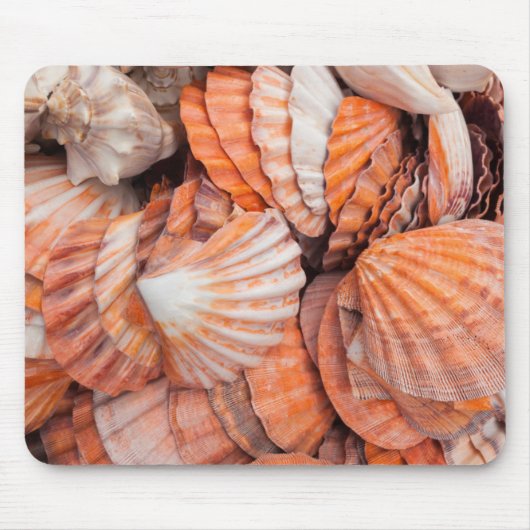 Florida Keys, Key West, Muscheln Mousepad (Vorne)