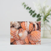 Florida Keys, Key West, Muscheln Postkarte (Stehend Vorderseite)