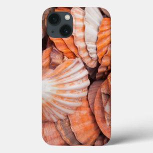 Florida Keys, Key West, seashells Case-Mate iPhone Hülle