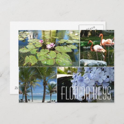 Florida Keys Postcard Postkarte (Vorne/Hinten)