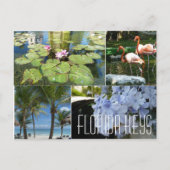 Florida Keys Postcard Postkarte (Vorderseite)
