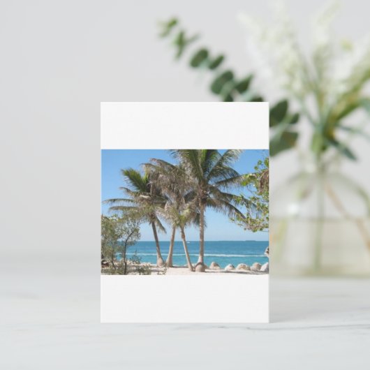 Florida Keys Postkarte (Stehend Vorderseite)