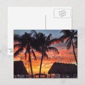 Florida Keys tropischer Sonnenuntergang Postkarte (Vorne/Hinten)
