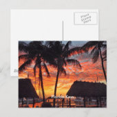 Florida Keys tropischer Sonnenuntergang Postkarte (Vorne/Hinten)