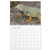 Florida Keys Wildlife Calendar Kalender (Jan 2027)