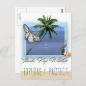 Florida Keys Wildlife Postkarte (Vorne/Hinten)