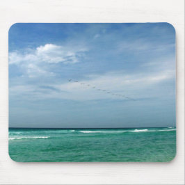 Florida-Küste Mousepad