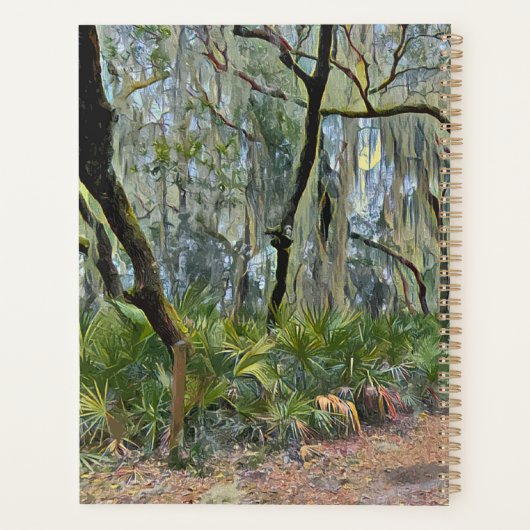 Florida Lace Spanish Moss Impressionist Art Planer (Rückseite)