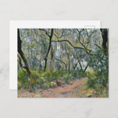 Florida Lace Spanish Moss Impressionist Art Postkarte (Vorne/Hinten)