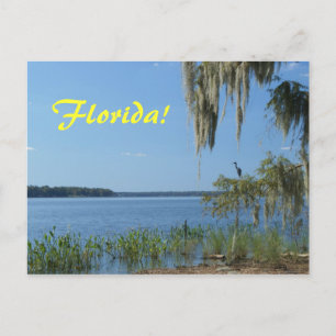 Florida Lake Postkarte