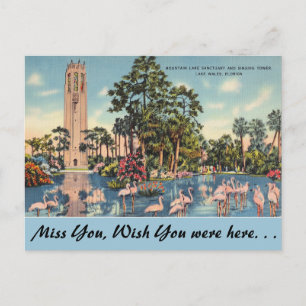 Florida, Lake Wales, Bok Singturm Postkarte