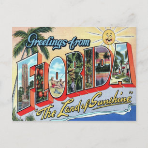 Florida Large Letter Postcard Postkarte