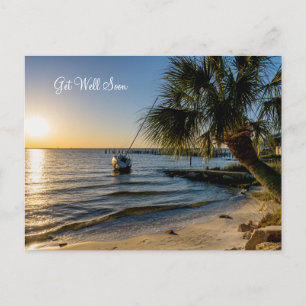 Florida Leaning Palm Tree Sunset Get Well Postcard Postkarte
