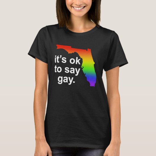 Florida LGBTQ It's OK to Say Gay Protect LGBTQ Fre T-Shirt (Vorderseite)