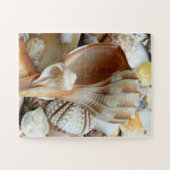 Florida Lightning Whelk Kids Seashells Puzzle (Horizontal)
