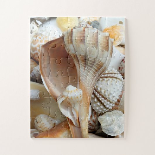 Florida Lightning Whelk Kids Seashells Puzzle (Vertikal)