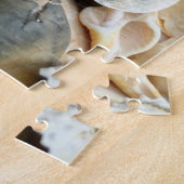 Florida Lightning Whelk Seashells Puzzle (Seite)