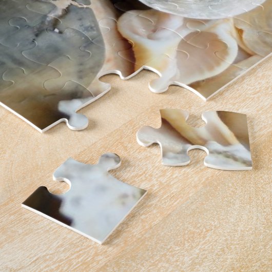 Florida Lightning Whelk Seashells Puzzle (Seite)