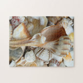 Florida Lightning Whelk Seashells Puzzle (Horizontal)