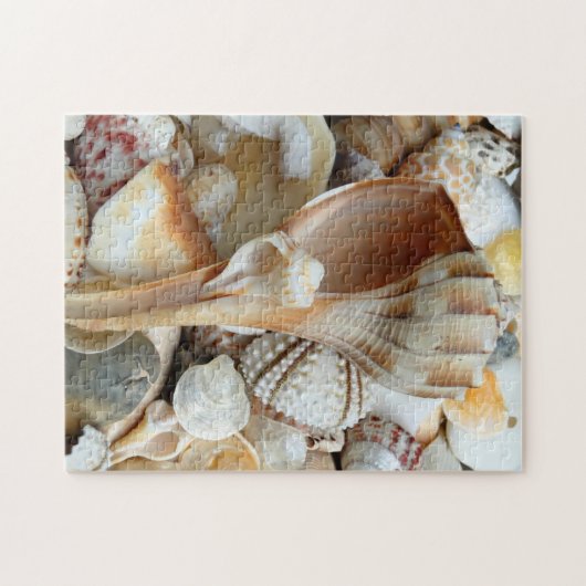 Florida Lightning Whelk Seashells Puzzle (Horizontal)