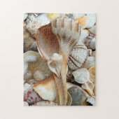 Florida Lightning Whelk Seashells Puzzle (Vertikal)