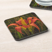 "Florida Lily" Coaster Set of 6 Getränkeuntersetzer (Linke Seite)