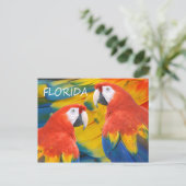 Florida Macaws Postkarte (Stehend Vorderseite)