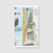 Florida Magnet (Vorderseite)