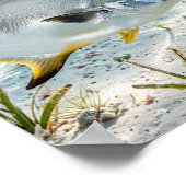 Florida Man Permit Sand Flat Keys Fisch Plakat (Ecke)