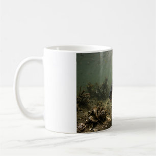 Florida Man Schwarze Trommel Bay-Austernbar-Fischb Kaffeetasse