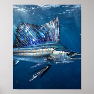 Florida Man Segelfisch erhobenes Segel Offshore-An Poster