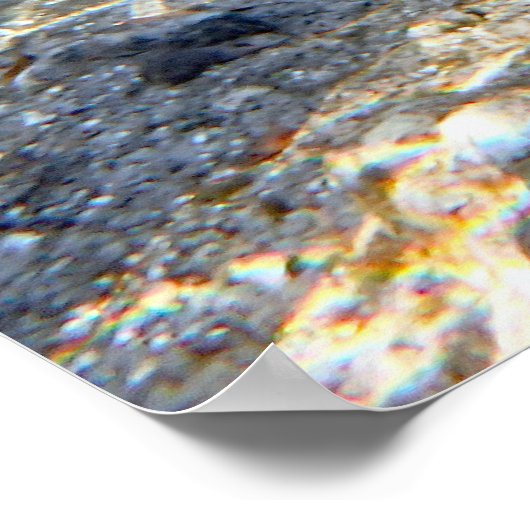 Florida Manatee am Crystal River FL Poster (Ecke)