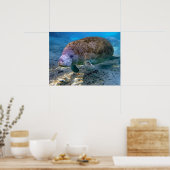 Florida Manatee am Crystal River FL Poster (Küche)