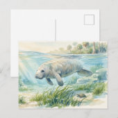 Florida-Manatee-Aquarell Postkarte (Vorne/Hinten)