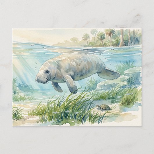 Florida-Manatee-Aquarell Postkarte (Vorderseite)